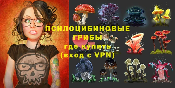 гашик Алзамай