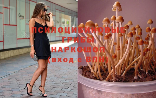 сатива Алексин