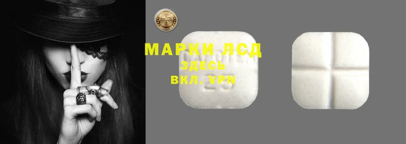 гашик Алзамай