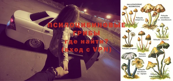 сатива Алексин