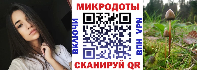 блэк спрут ССЫЛКА Первоуральск Галлюциногенные грибы Psilocybine cubensis